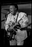Eddie Burns, Detroit Blues Festival 1978 or 1979