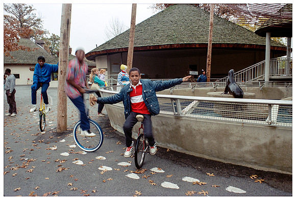 Public Park - Unicycles