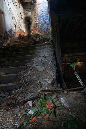 Grande Ballroom 2 2010