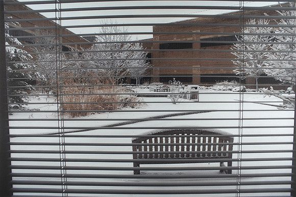 View From Exam Room 2022