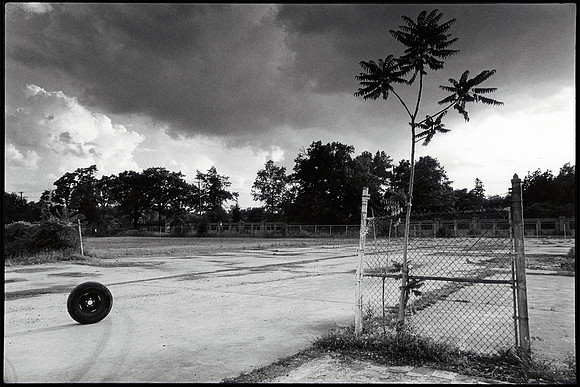 Near The Detroit Zoo 1979