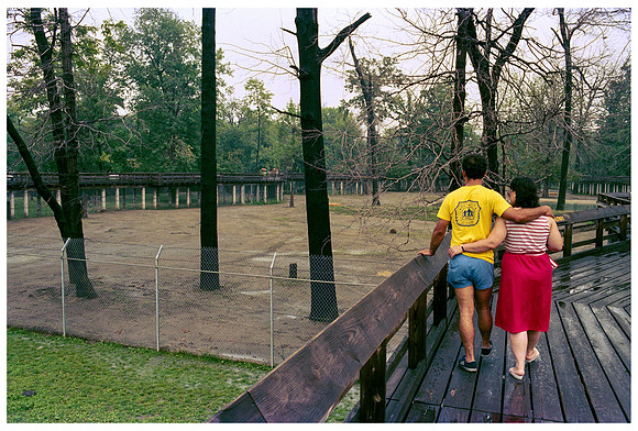 Couple, Belle isle Children's Zoo
