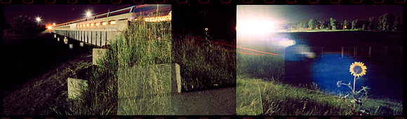 I-75 Flower 1990