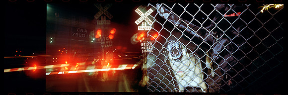 Guard Dogs 1996