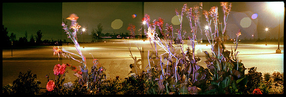 1st flower triptych 1989