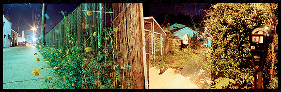 Ferndale Alley 2007