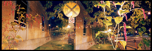 Rail Crossing 2009
