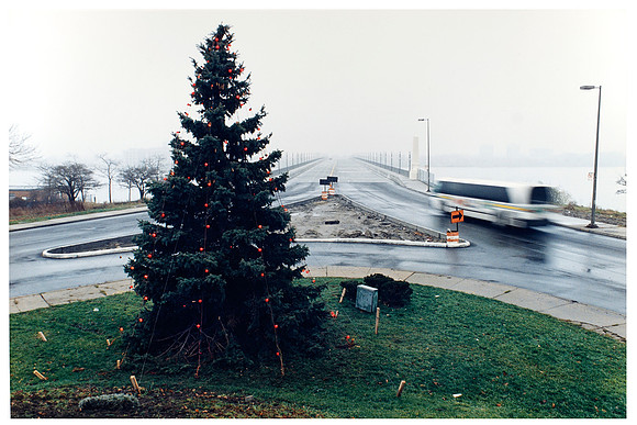 Bus And Christmas Tree