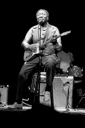 Muddy Waters 1979