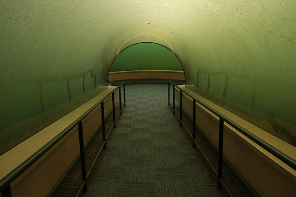 Pond Room 2012