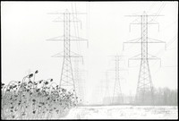 Transmission Lines 1978
